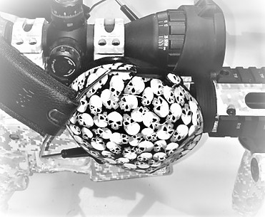 Hydrographics Skulls and Camera