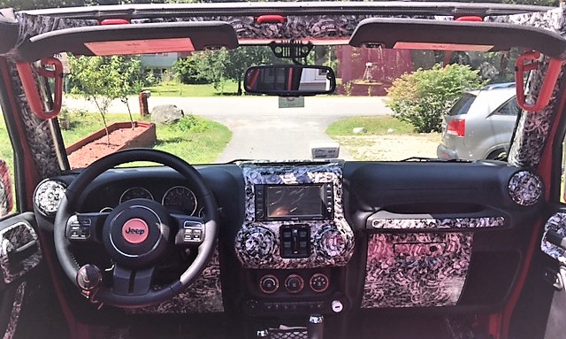 Hydrographics Pink Dashboard