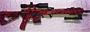 Hydrographics Water Dipped AR-15